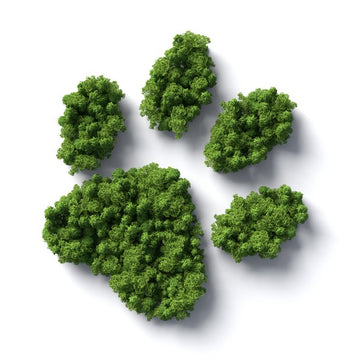 Sustainability Commitment
