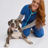 Bella Pant - Fearless Blue