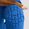 Bella Pant - Fearless Blue